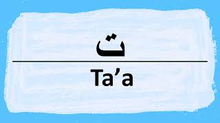 How to Pronounce the Arabic Letter Taa حرف التاء Correctly [upl. by Nnhoj486]