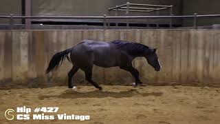 CS Miss Vintage  Lot 427  NRHA Futurity Sale [upl. by Neleag]