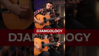 🎶 Djangology Django Reinhardt  Jazz Manouche [upl. by Mountford272]