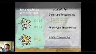 Genetics of Populations [upl. by Krever]