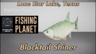 Blacktail Shiner Lone Star Lake Texas Fishing Planet Guide [upl. by Aronaele85]