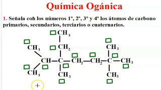 Actividades ¿Cómo dominar e identificar el carbón primario secundario terciario y cuaternario [upl. by Scarface]