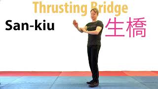 58 Sankiu Choy Li Fut Kung Fu Hand Technique [upl. by Lemert458]