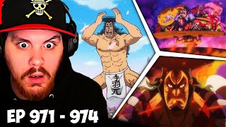 One Piece Episode 971 972 973 974 Reaction  Oden Wouldnt Be Oden If It Wasnt Boiled [upl. by Markos]