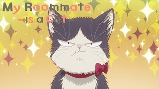 Magician Cat Girl Episode 1 English Dubbed  Comedy  Magical Anime [upl. by Trenna]