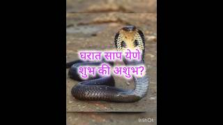 shortsfeed shorts sarp gharat yene shubh ki ashubha शॉर्ट्स शॉर्टवीडियो [upl. by Nuahsed]