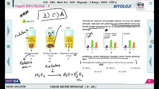 Mavi Set Biyoloji 1  Yaşam Bilimi Biyoloji  4 🔬 [upl. by Deeanne]