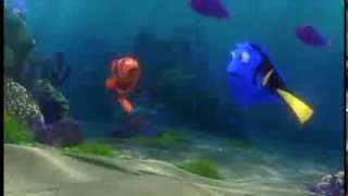 Finding Dory Teaser Trailer [upl. by Gwenni]