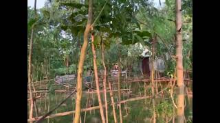 My bagan Bari view [upl. by Lucia751]