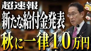 【2024年最新】新たな追加給付金が発表！10万円給付金！【ゆっくり解説】 [upl. by Kiele512]