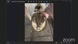 The Anatomically Correct Trim Hoof Research Course and Cooperative [upl. by Naldo]