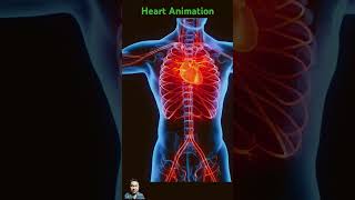 Heart Animation shorts [upl. by Mcallister]