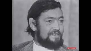 JULIO CORTÁZAR HABLA DE RAYUELA [upl. by Inasah]