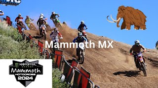 Mammoth MX Racing [upl. by Ludly]