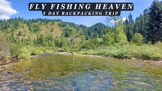 This stream is the Epitome of Perfection  3 day Backcountry Fly Fishing Trip [upl. by Sansen]