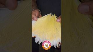 How to Collect pollen for cross pollination No fancy equipment needed [upl. by Anelah]