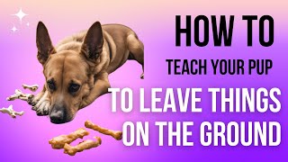 Teach your dog to LEAVE IT and stop them from picking up bad things from the ground [upl. by Terrilyn]