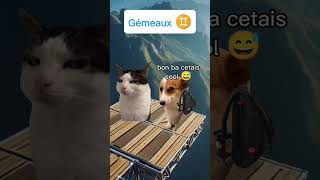 Sauter en parachute selon ton signe astrologique meme catmemes humour astrology [upl. by Eedolem]