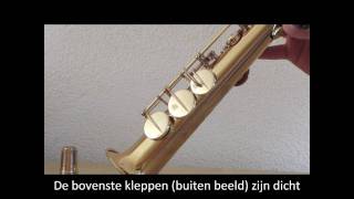 Low notes on a soprano saxophone [upl. by Laertnom400]