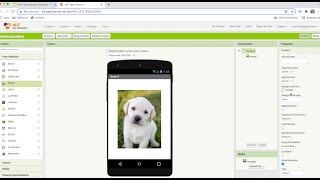 Password Protected Puppy Building Your First Password Protected App [upl. by Shulamith]