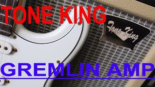 Tone King Royalist 15W Combo Amplifier  CME Gear Demo  Joel Bauman [upl. by Colb]