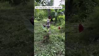 AIM MINI Farm and Camp Site bayan farmanimals animals philippines goat farming farmer farmer [upl. by Duong]