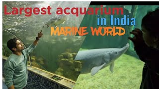 Marine world chavakkad thrissur public acquarium life acquariumfish must visit like support [upl. by Dannica]