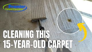 Mastering Carpet Cleaning Stain Treatment and Steam Cleaning Tips [upl. by Amery]