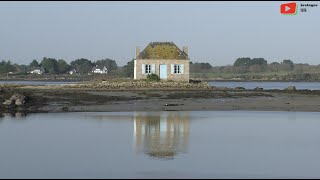 BELZ  Jour de lAn à lÎle de SaintCado  Bretagne Télé [upl. by Macnamara687]