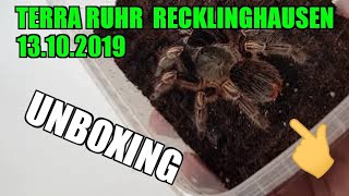 Terra Ruhr 13102019  UNBOXING [upl. by Dre]