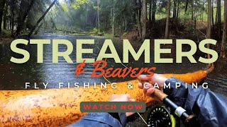 Streamers and Beavers Allegheny National Forest Fly Fishing amp Camping [upl. by Pomfrey]