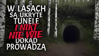 W Lasach są Ukryte Tunele i Nikt nie wie Dokąd Prowadzą [upl. by Yanej311]