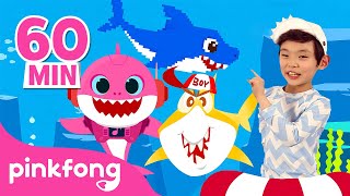 Baby Shark Dance  More  Kids Songs Compilation  Pinkfong Baby Shark [upl. by Leith]