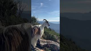 Arrêt à la Station de trail Balagne  Calvi en HauteCorse trailrunning corse [upl. by Anuat]