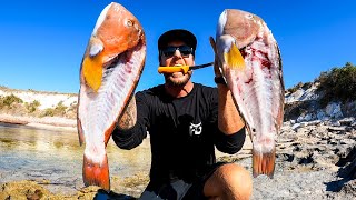 SOLO fishing  CATCH and COOK fish burgers Best tasting fish in the sea [upl. by Goodard58]