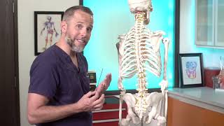 Lumbar Puncture Anatomy  Adult EM Bootcamp [upl. by Mabel843]