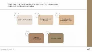 VEPB004 Caracterización y evaluación in vitro del potencial cosmecéutico de emulsiones lipídicas PT [upl. by Bethesda]