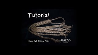 CAT ONINE TAILS TUTORIAL [upl. by Nahaj]