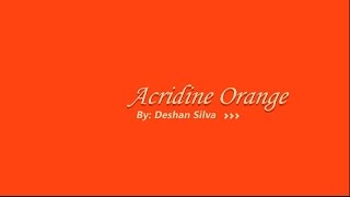 Acridine Orange  3D Model and More [upl. by Marie-Ann]