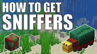 How to Get a SNIFFER in Minecraft 120  How to find Sniffer Eggs [upl. by Anilehs]