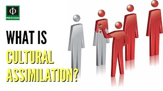 What is Cultural Assimilation [upl. by Infeld]