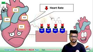 MECHANISM ACTION OF ATROPINE  PHARMACOLOGY [upl. by Eneli]