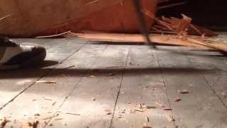 How to pry up plywood over wood floors [upl. by Kat]