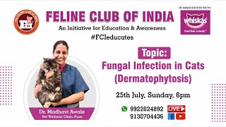 Webinar 24 Fungal Infection in Cats Dermatophytosis [upl. by Naillil]