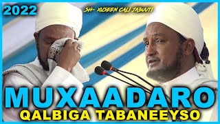 Muxaadaro Qalbiga Taabaneeyso 2022  Sheekh Xuseen Cali Jabuuti [upl. by Ativ690]