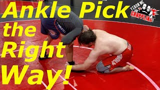 The World FAMOUS Ankle Pick TAKEDOWN [upl. by Noeled]