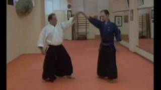 Sensei Roy Jerry Hobbs ve Adnan Safak Yuksel Dentokan jujutsu 14 Kote GaeshiYondanGiwmv [upl. by Goldsmith]