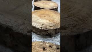 pinewood wood slices woodworking woodwork [upl. by Landy941]