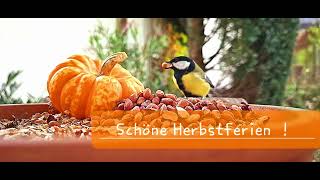 Schöne Herbstferien [upl. by Pauli]