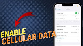 How To Enable Cellular Data On iPhone [upl. by Cadel]